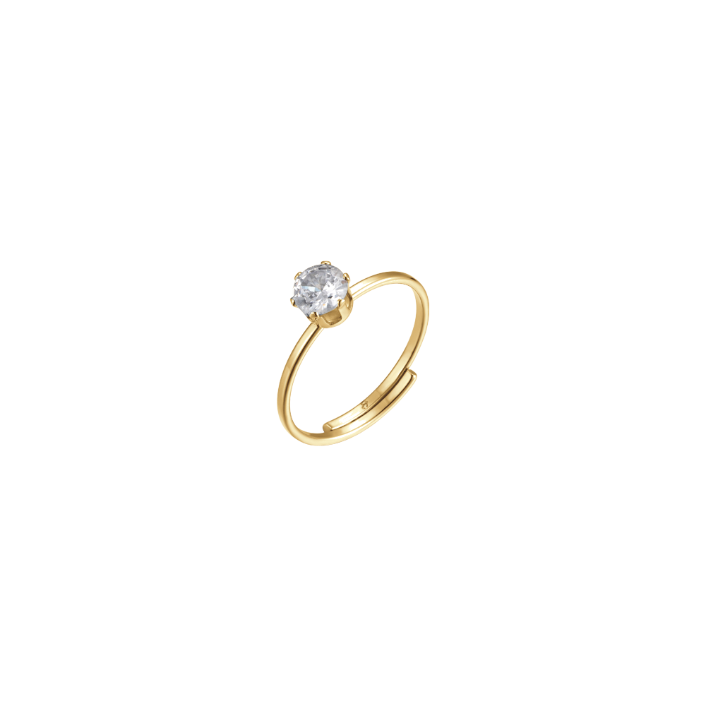 WOMAN STEEL RING
