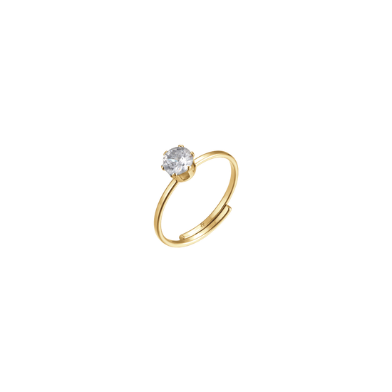 WOMAN STEEL RING
