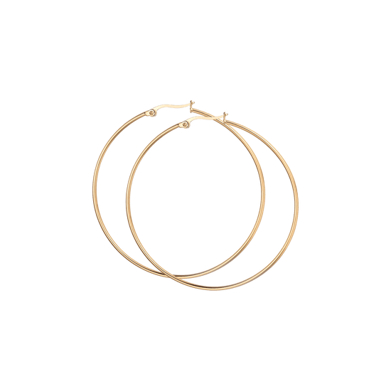 Upload image to Gallery WOMEN'S EARRINGS IN STEEL DIAMETER 63 MM
