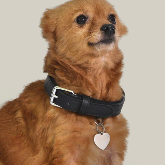 CUSTOMIZABLE DOG AND CAT HEART TAG