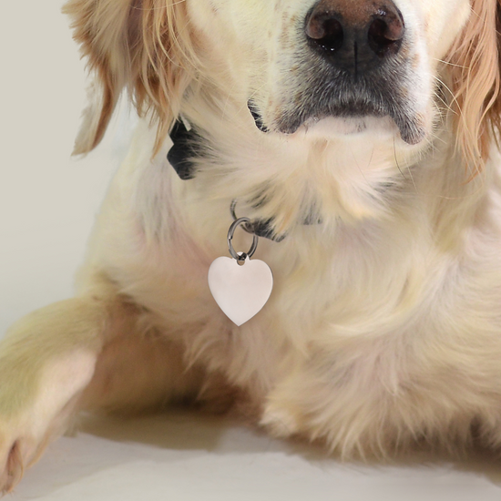 CUSTOMIZABLE DOG AND CAT HEART TAG