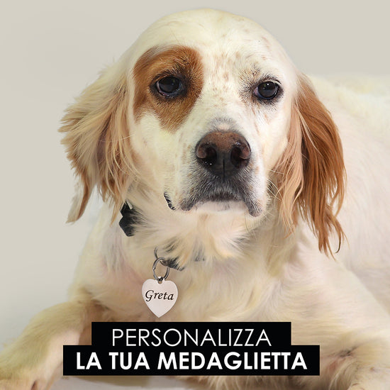 Upload image to Gallery PERSONALIZABLE DOG AND CAT HEART MEDALLET
