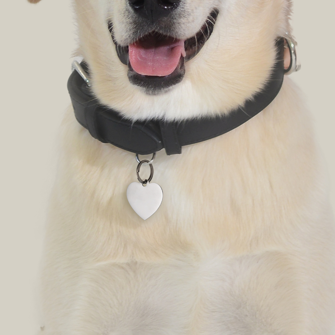 CUSTOMIZABLE DOG AND CAT HEART TAG
