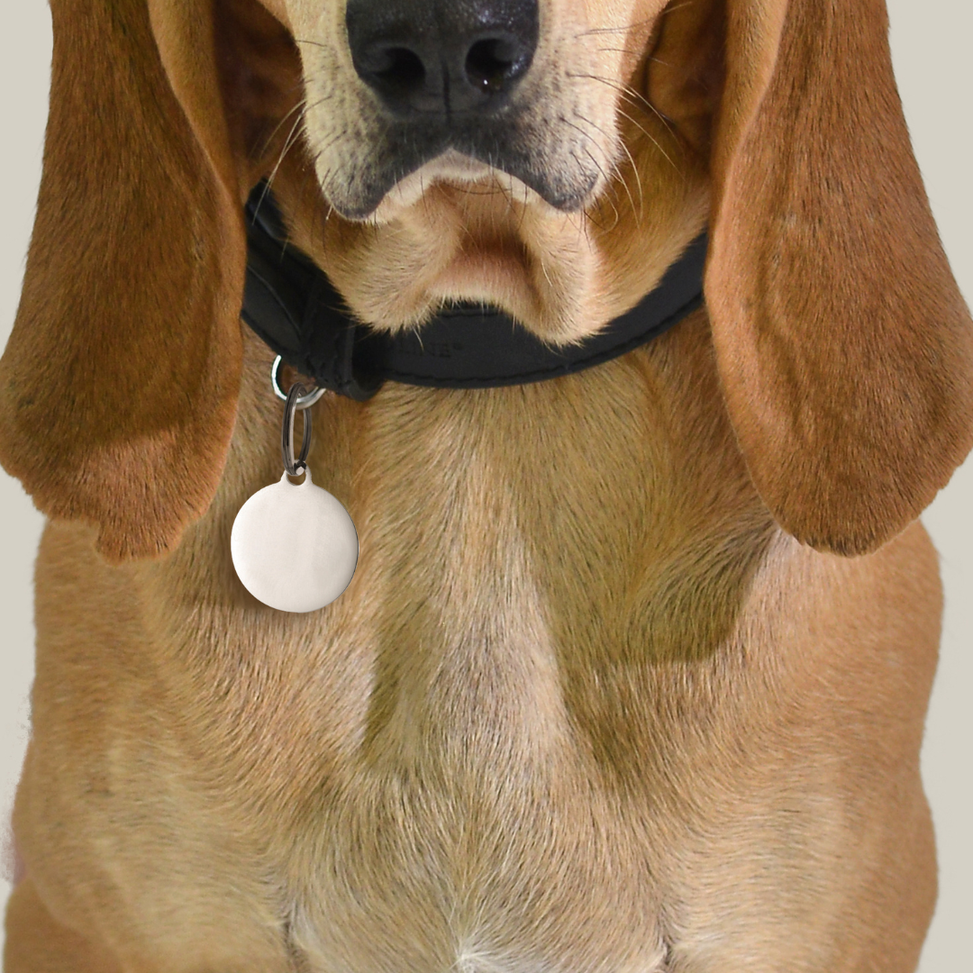 CUSTOMIZABLE DOG AND CAT CIRCLE DOG TAG